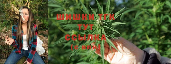 трава Алзамай